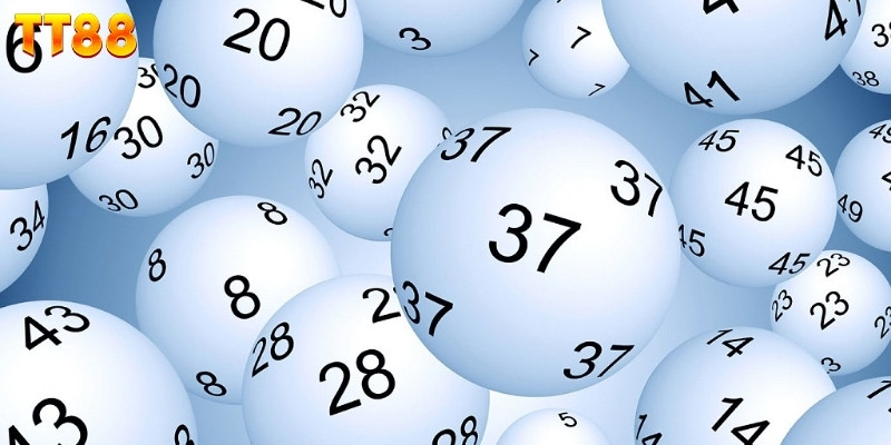 Khái quát cách vận hành lô bạch kim